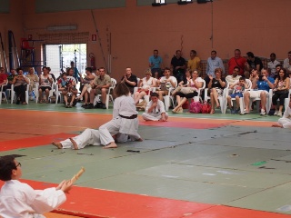 Image description